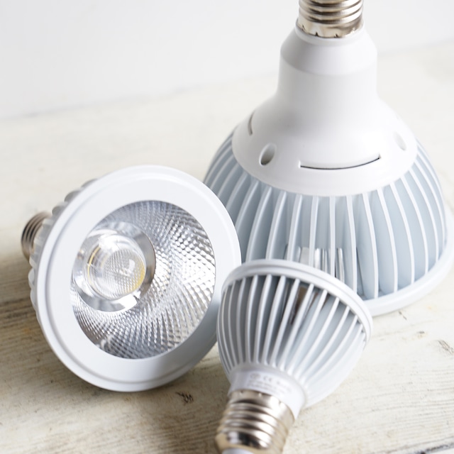 LEDライト 小型AS型 24W 昼白色 ホワイト