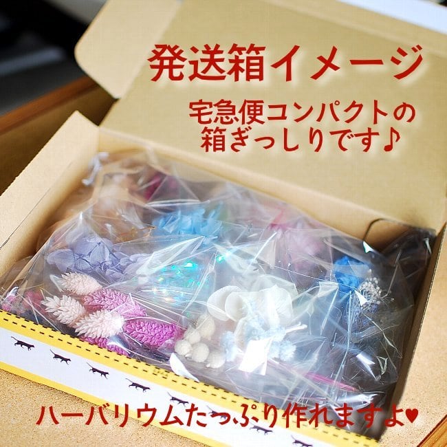 送料無料 お得なハーバリウム花材の詰め合わせ 30種類の花材福箱 