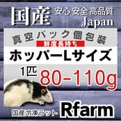 冷凍ラットホッパーL【±80-110g】 | 国産冷凍ラットRfarm・アール
