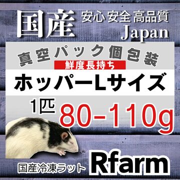 冷凍ラット Lサイズ | PAY ID