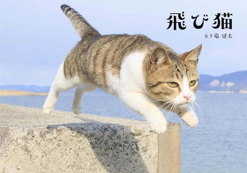 飛び猫　写真集