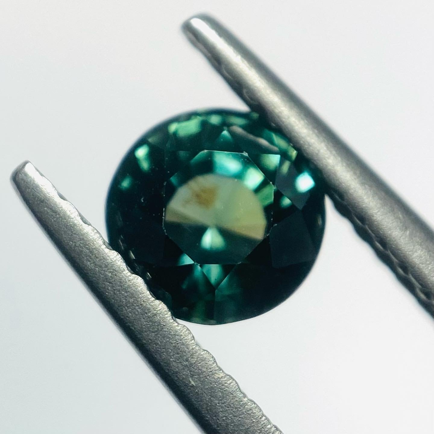 深い森 サファイア2