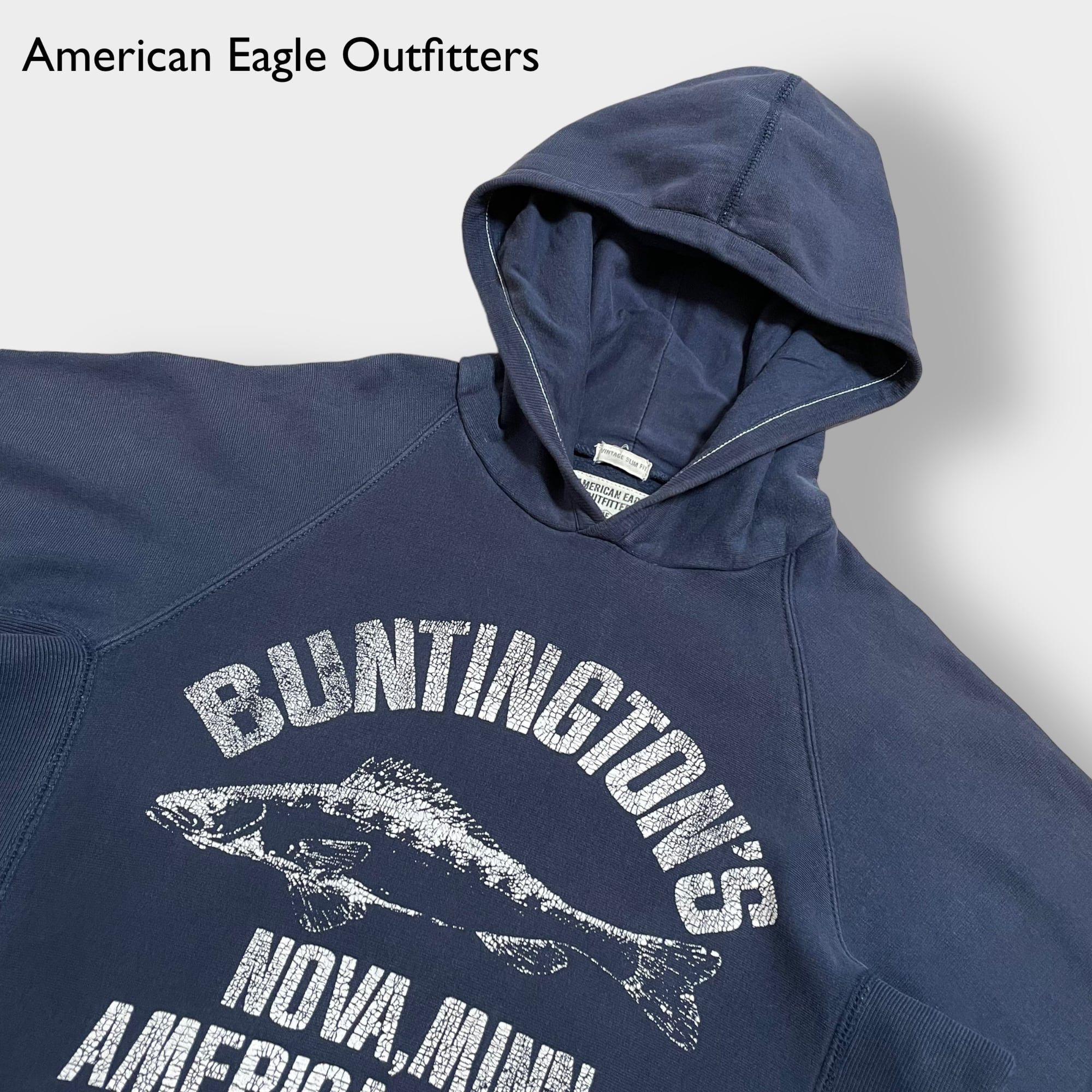 AmericanEagle(USA)グラフィックラインドパデッドパーカ