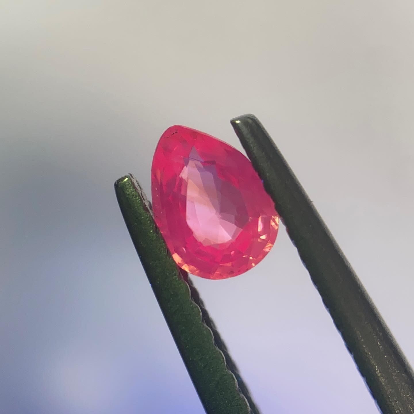 隠れゼブラ ピンクサファイア