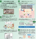 PREMIUM乳酸菌 エイチジングリーンEX 動物用乳酸菌(30包入り) thumbnail 7