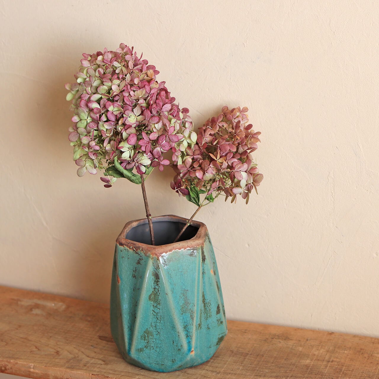 アジサイ ミナヅキ枝付き ショート / あじさい アジサイ ピラミッド