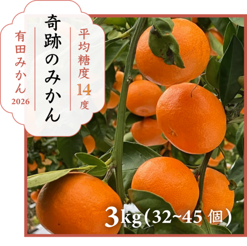 2026奇跡の糖度！有田みかん 【3kg】