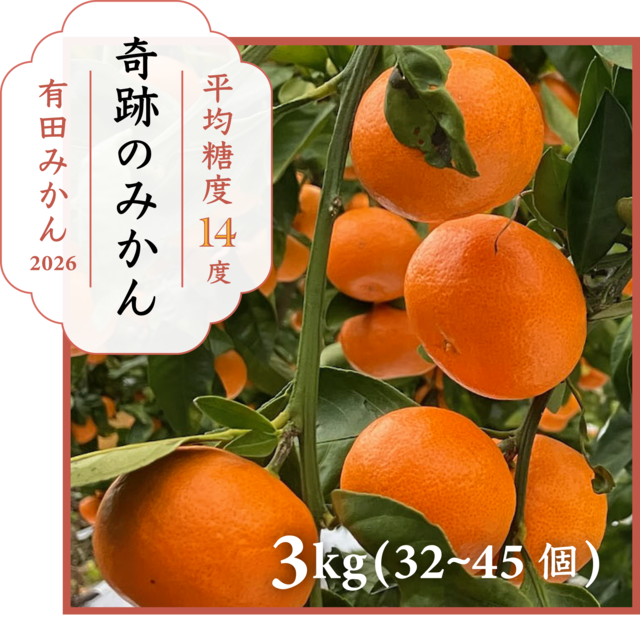 岡山県産「奇跡の葡萄」マスカットジパング（800g前後）