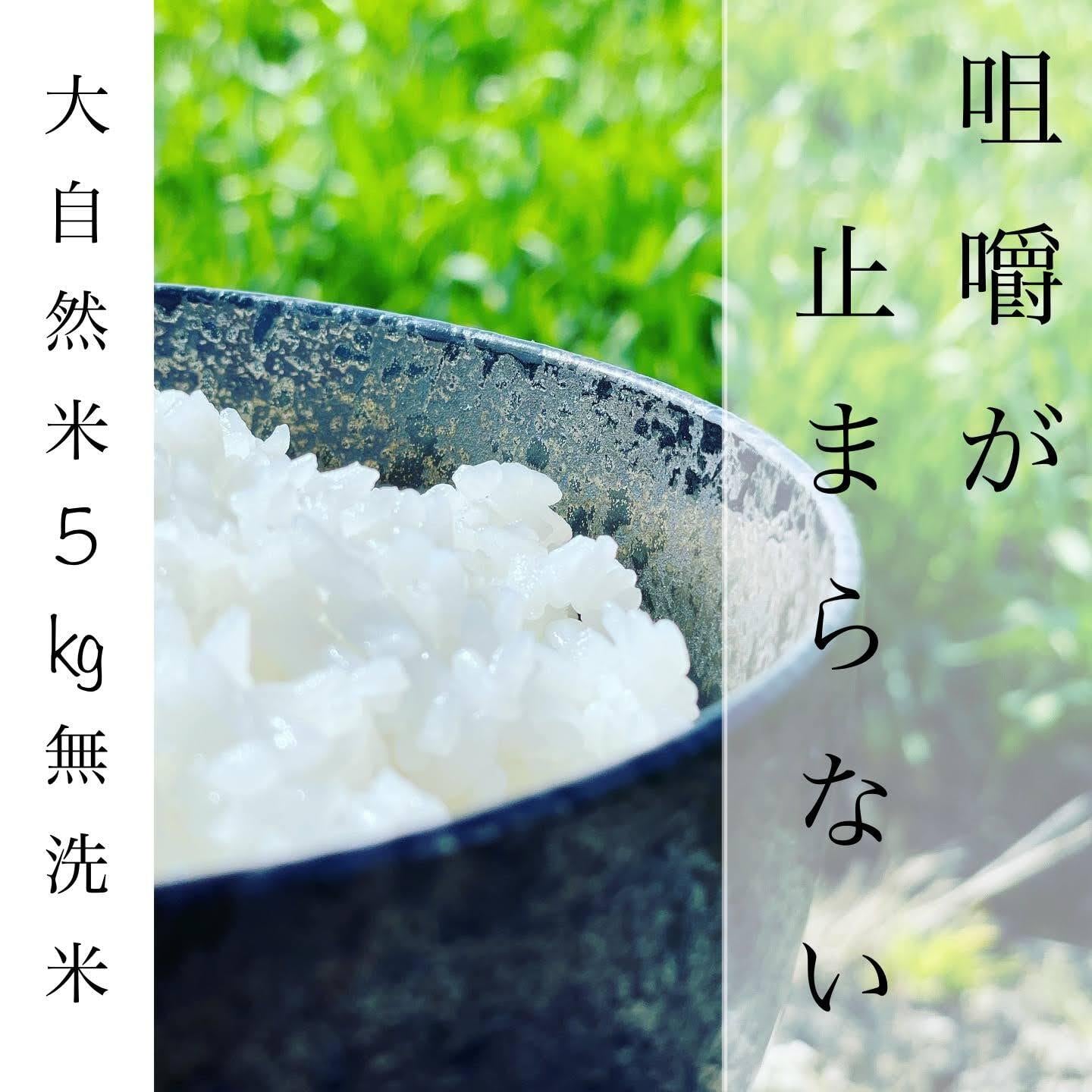 令和7年産 大自然米【10kg】無洗米 | 白屋.｜美味しい特別栽培米「白屋