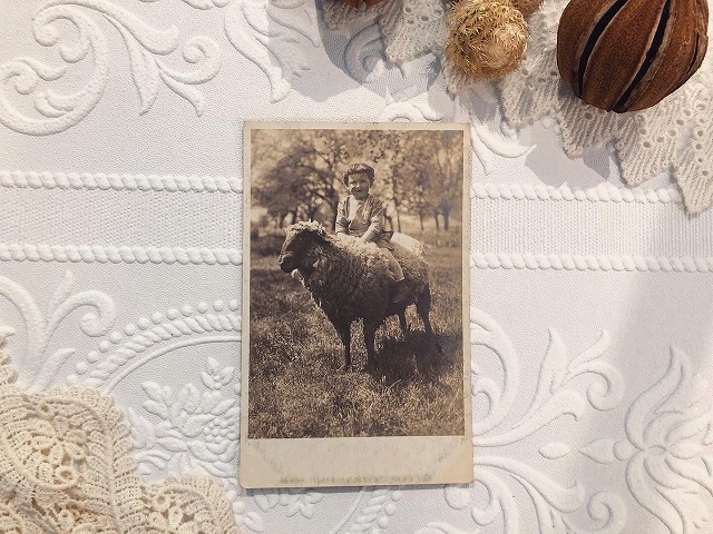 【GPA-012】vintage card /display goods