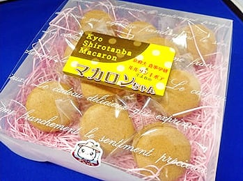 マカロンちゃん（10個入り） | ルルソンキボア オンラインショッピング