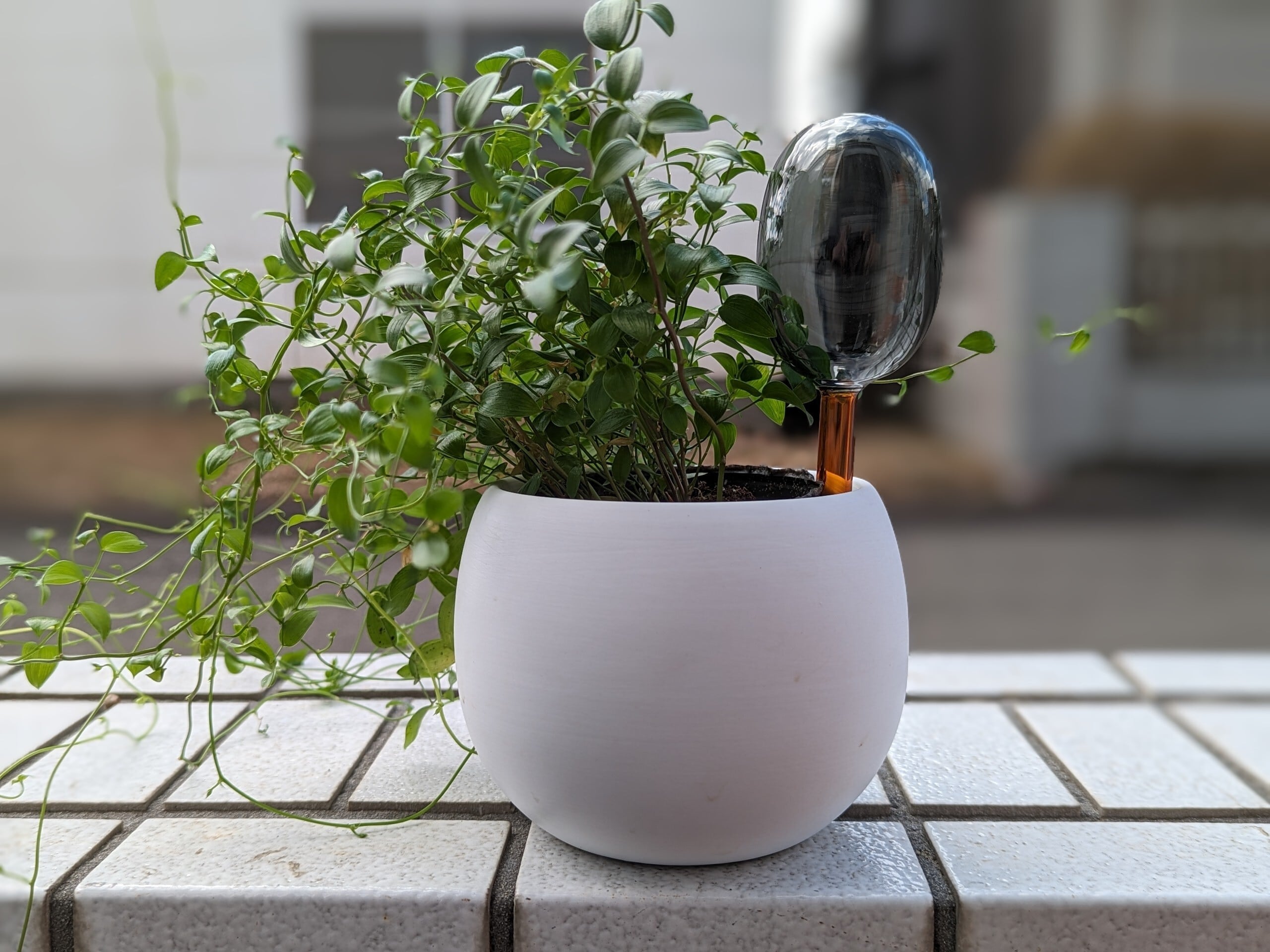 植物用水差し・TWO TONE WATER DISPENSER | amabro | inoya | Basic