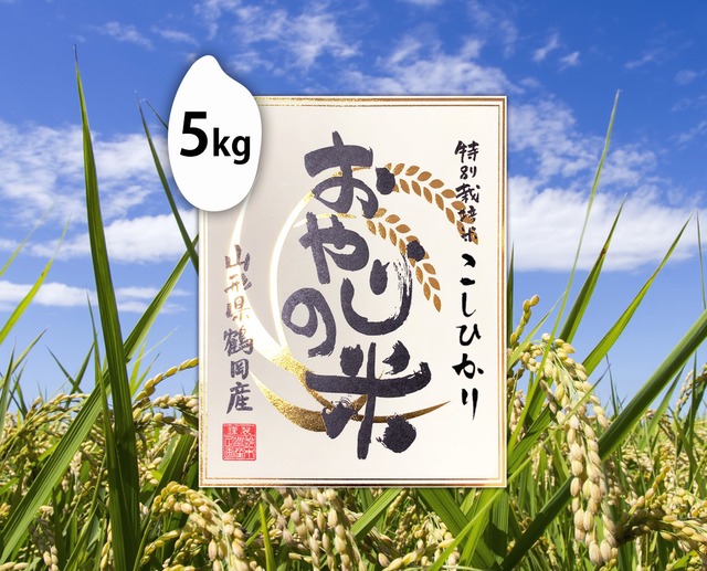 5kg おやじの米 こしひかり（山形）