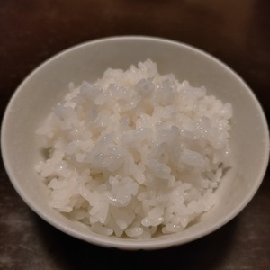 ササニシキ白米20ｋｇ