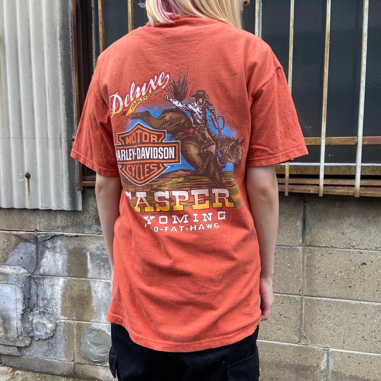 ハーレーダビッドソン Harley-Davidson 両面プリント モーターサイクル バイクTシャツ メンズS /eaa358636