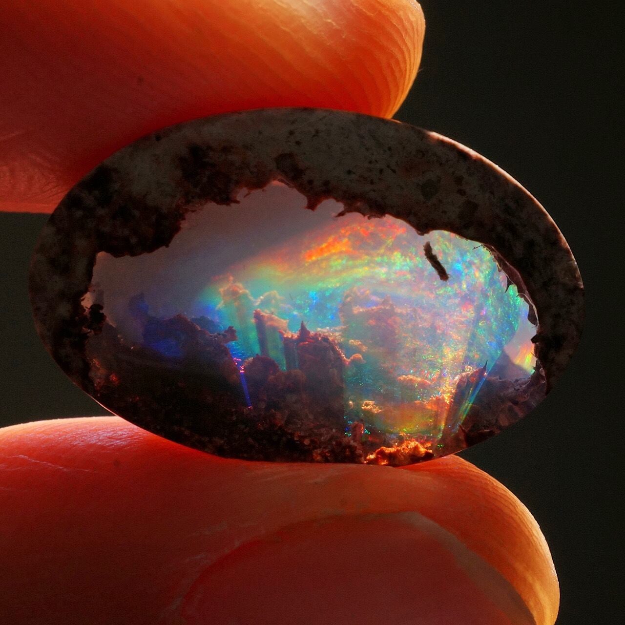 カンテラオパール2023 | Cats Polish Company 