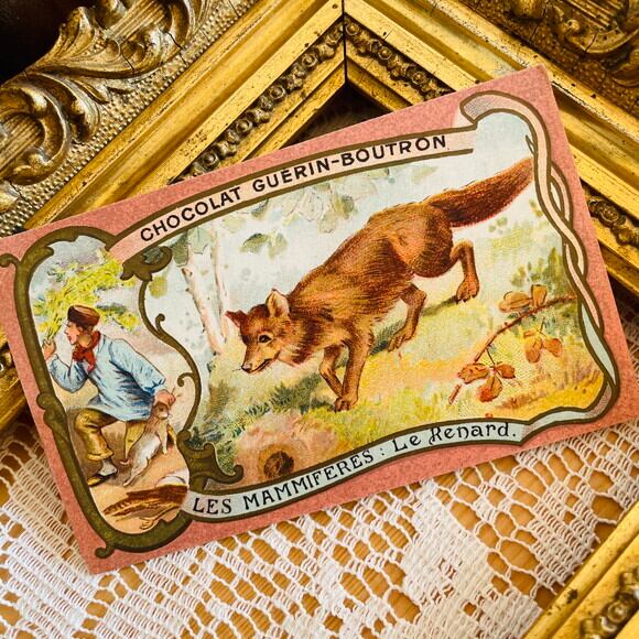 フランスアンティーク クロモス クロモカード 牛とカエル [ch004