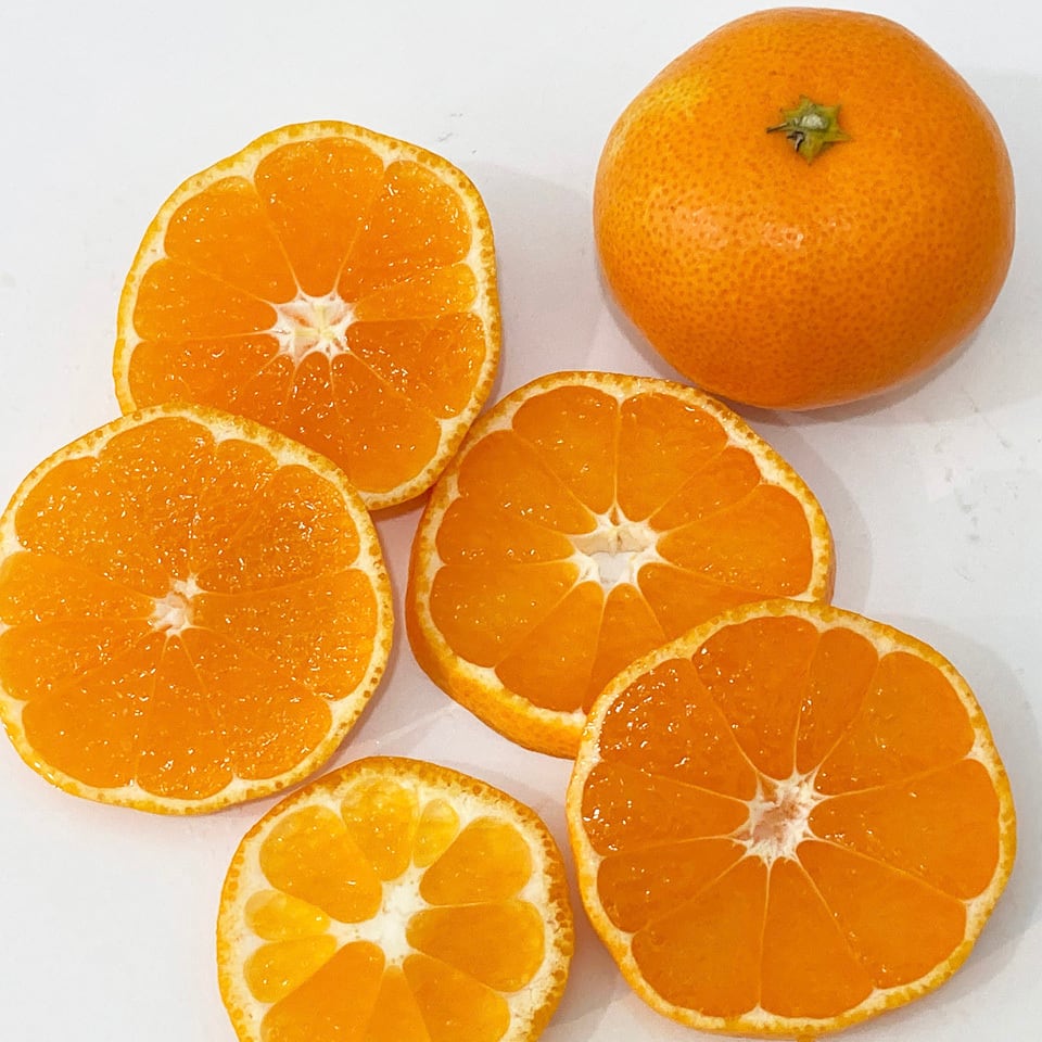 ハイビスカスオレンジ・レモンコーディアル（シロップ）赤いレモネード