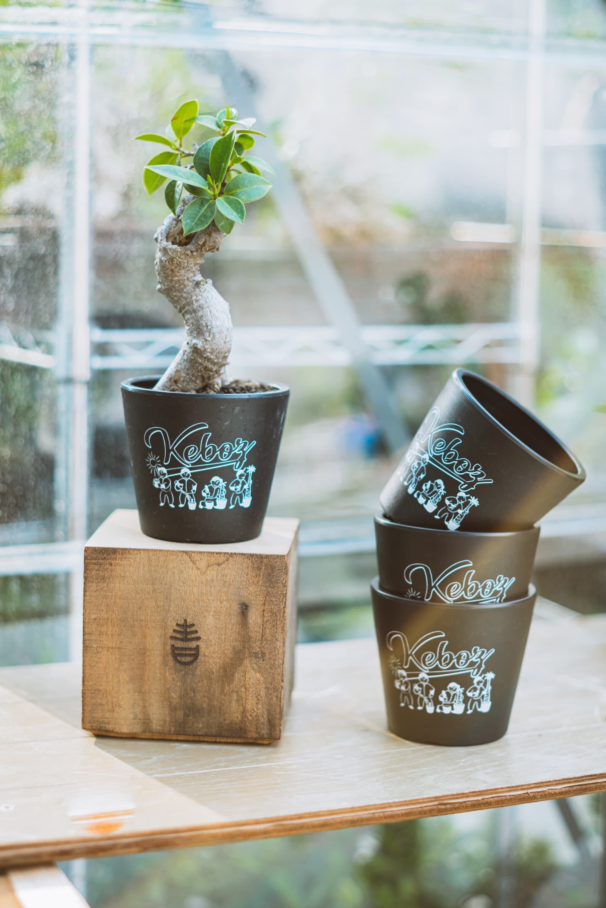 ♪昔の青磁植木鉢 丸型 無キズ こめです。 ♪昔の青磁植木鉢