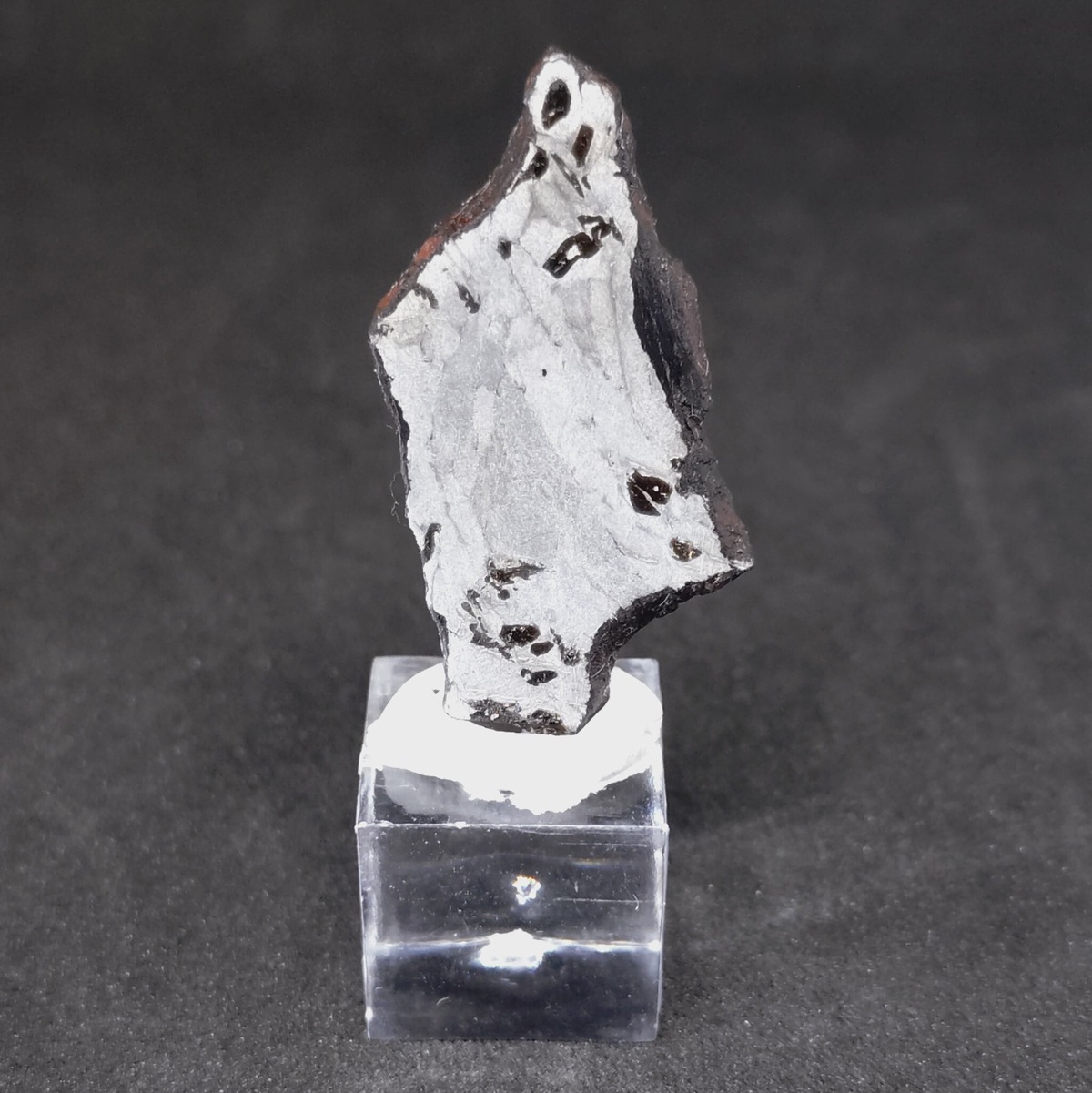 Gibeon Meteorite 4 74g Cosmic Space Meteorites gibeon-meteorite-4-74g-cosmic-space-meteorites