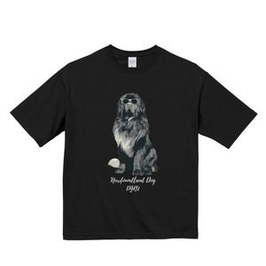 ニューファンドランド　ビックシルエットTシャツ