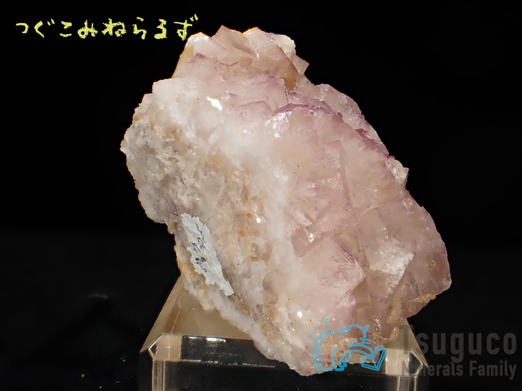 フローライト 蛍石 Fluorite イギリス TM-0051