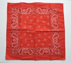 【DEADSTOCK】 RN14193 WAMCRAFT PAISLEY VINTAGE BANDANNA