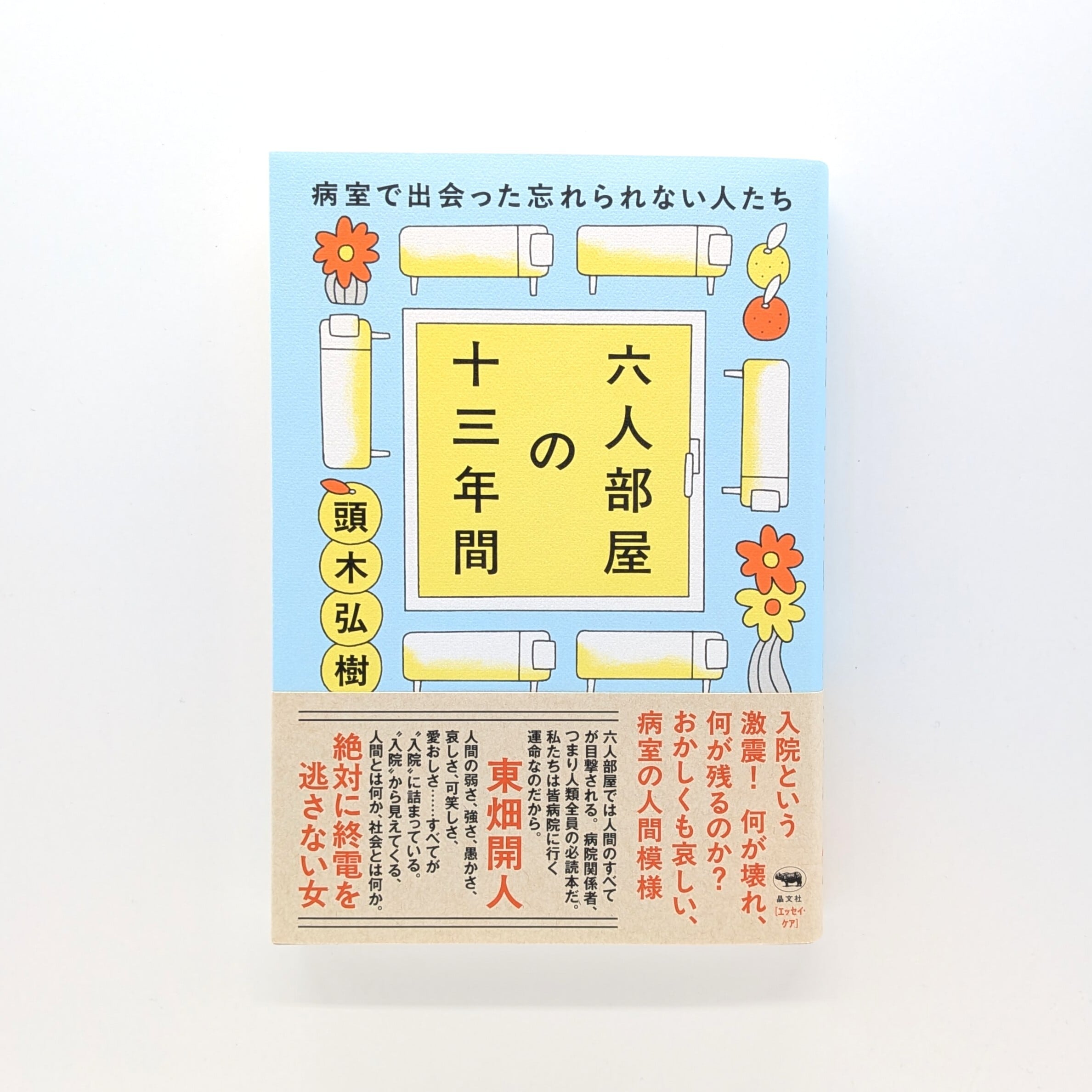 具体と抽象 世界が変わって見える知性のしくみ | まわりみち文庫