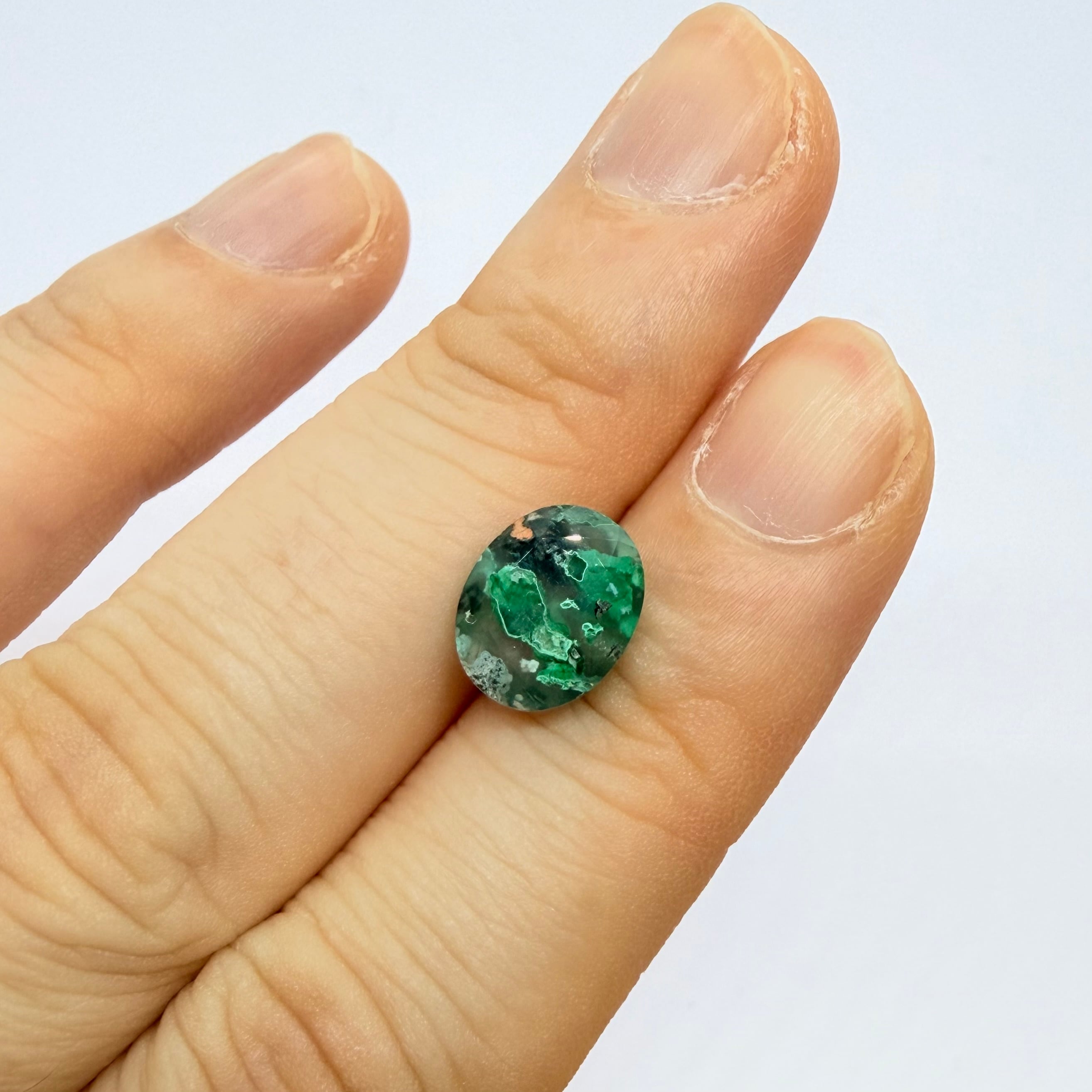 アートな景色の見えるアクアダイト