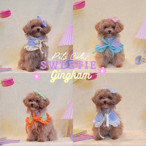 Sweetie Gingham – Pet Collar〈XS〉