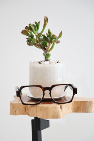 【S】宇宙の木/World tree　※ガラスポット付き