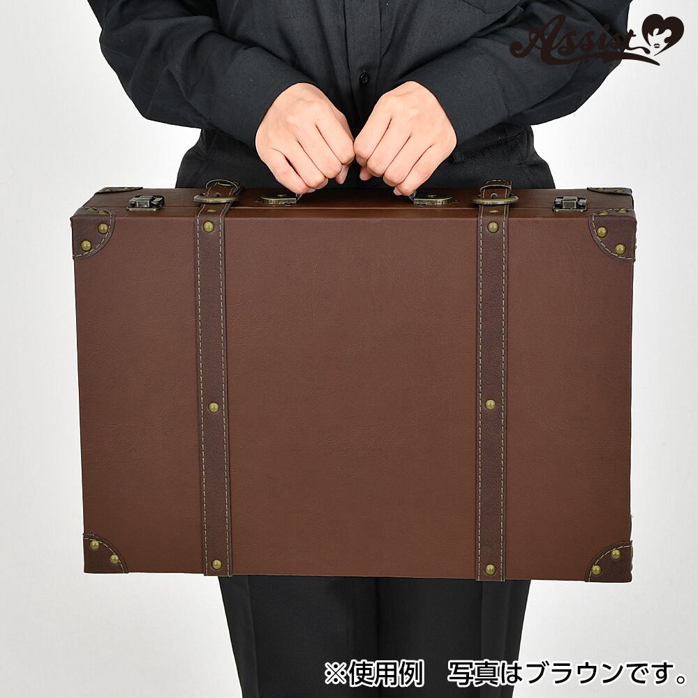 アシストウィッグ【コスプレ用トランクケース】アシストオリジナル