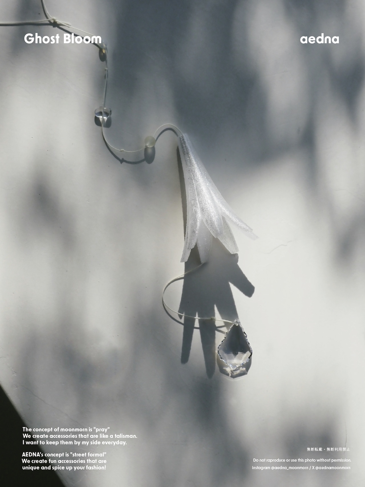 sun catcher [Ghost Bloom]