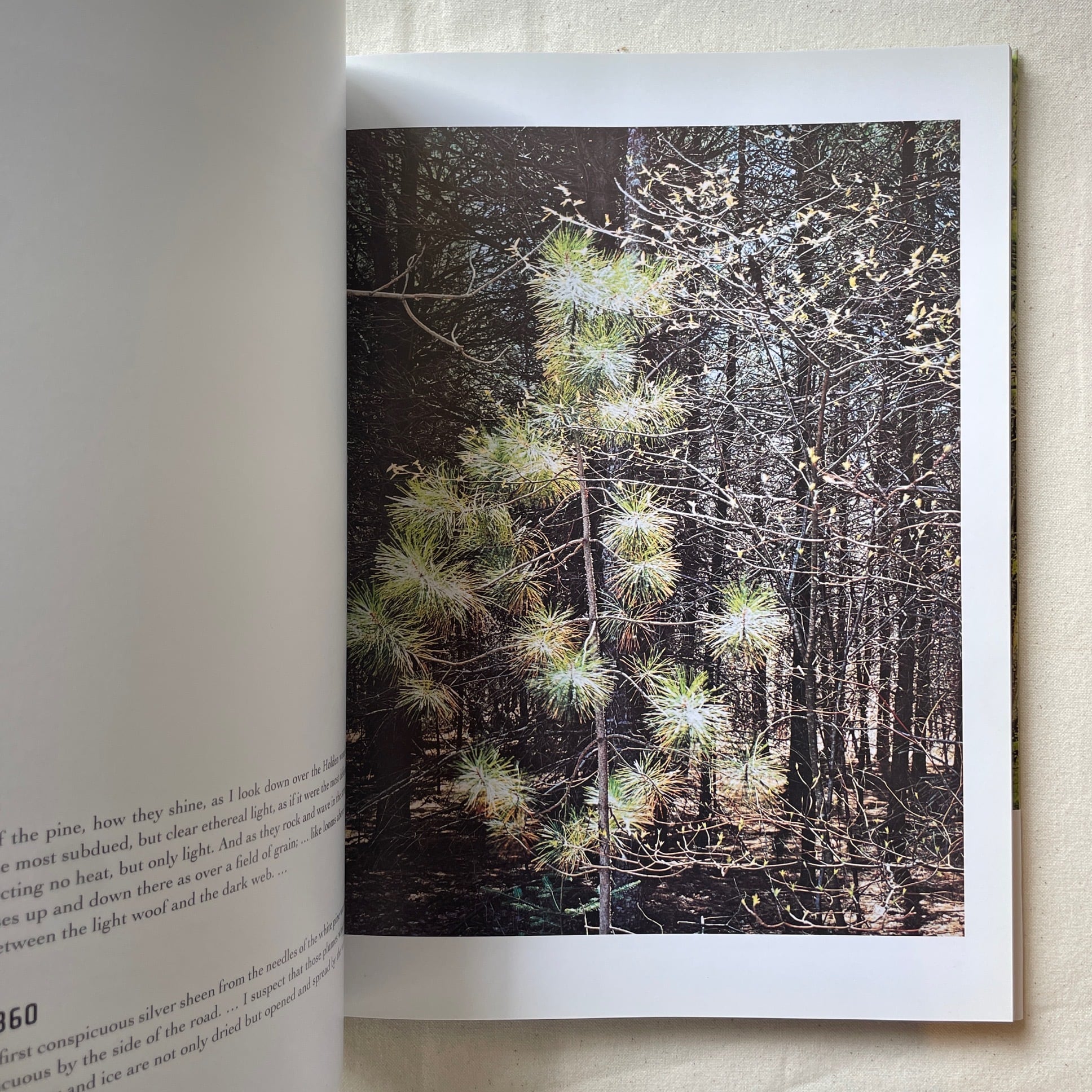 In Wildness Is the Preservation of the World / Eliot Porter、Henry