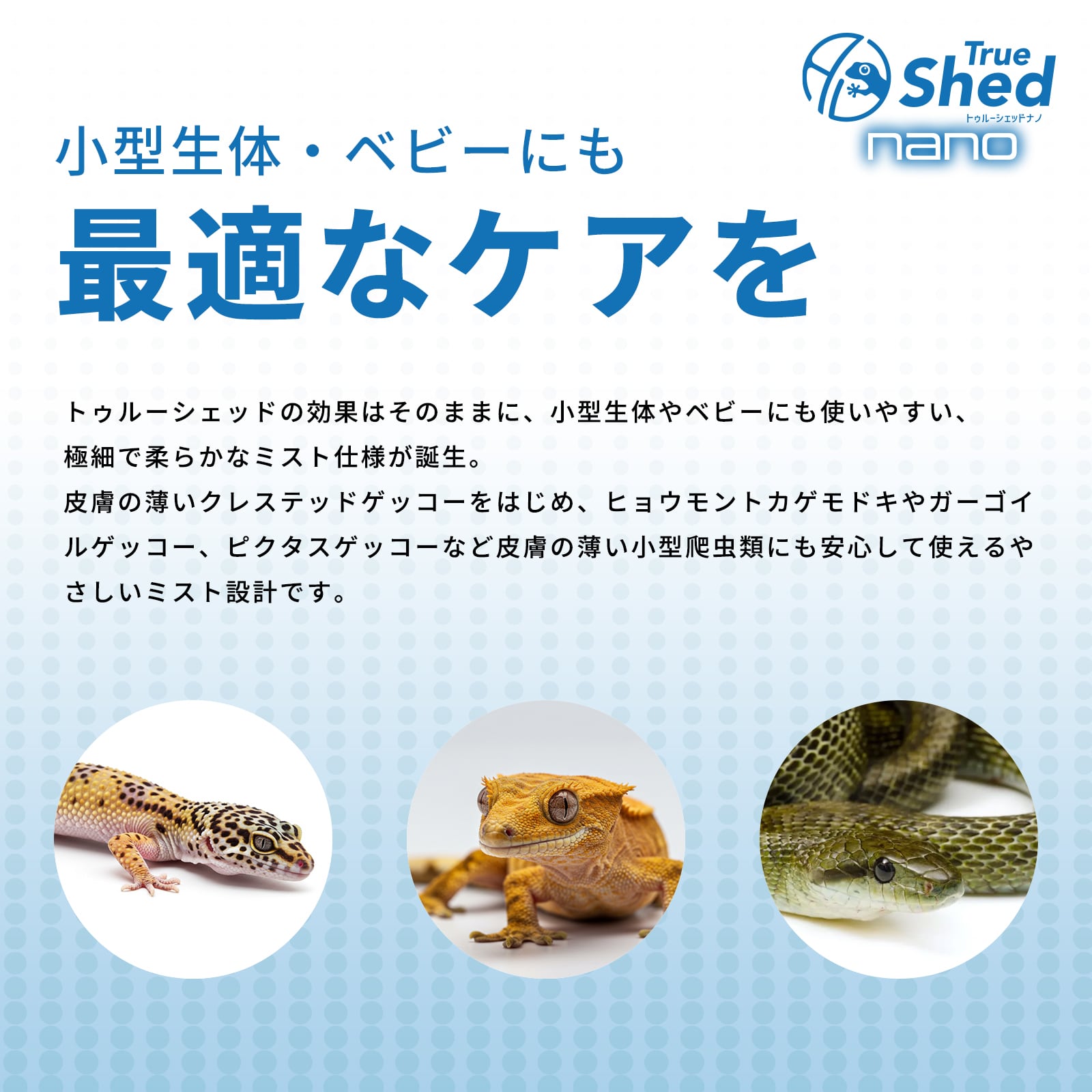アリオンジャパンG.K　トゥルーシェッド　ナノ　100ml 4本セット トゥルーシェッド ナノ / True Shed nano | ARION JAPAN G.K STORE