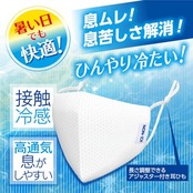 アイスノン 冷涼感マスク 2枚入
