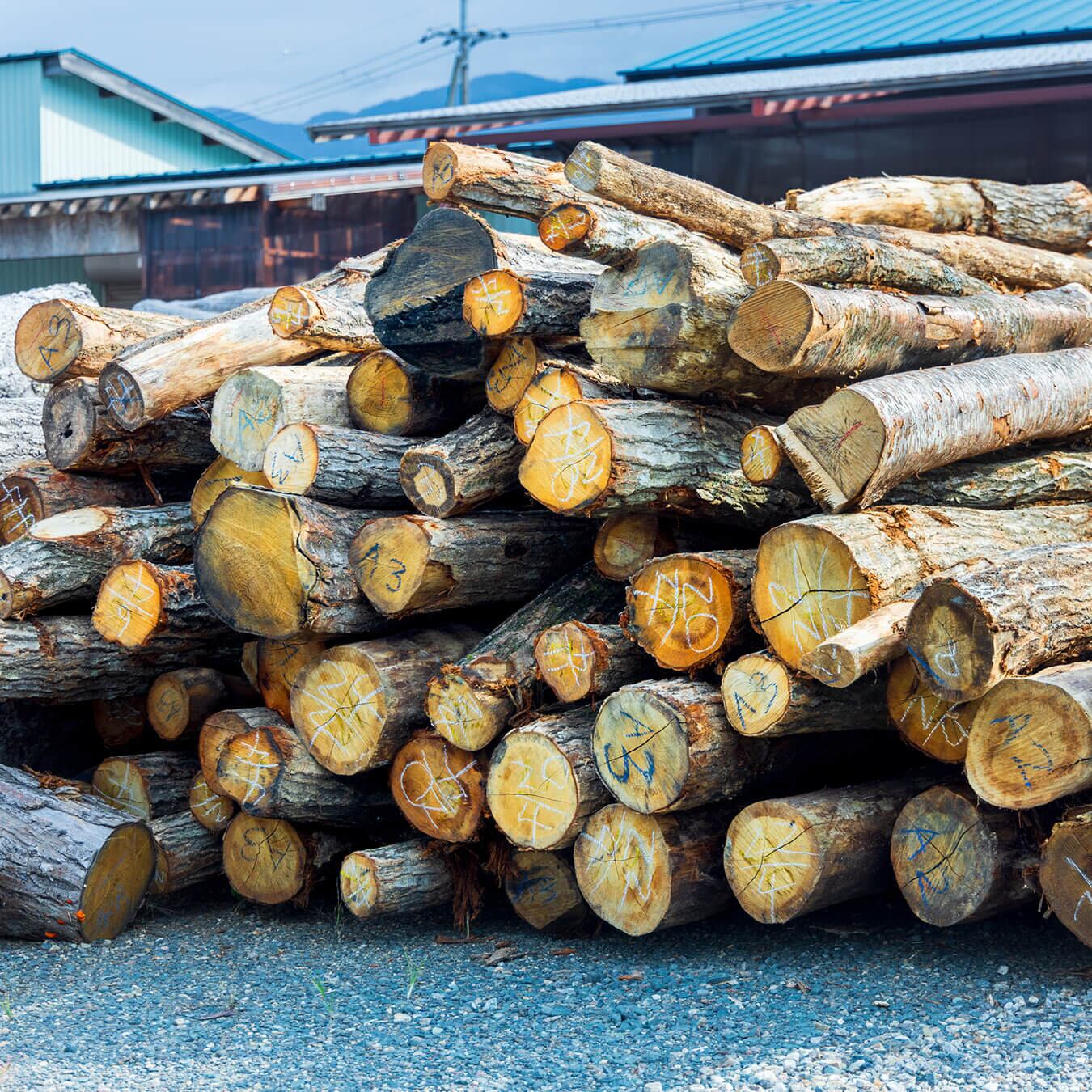 20kg］広葉樹のコロ薪（30cm以下：大割り・中割り）※含水率20％以下