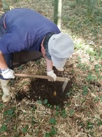 【予約販売】 朝掘り たけのこ ５本セット 千葉県産（ぬか付き）　※予約期間延長：4月25日まで