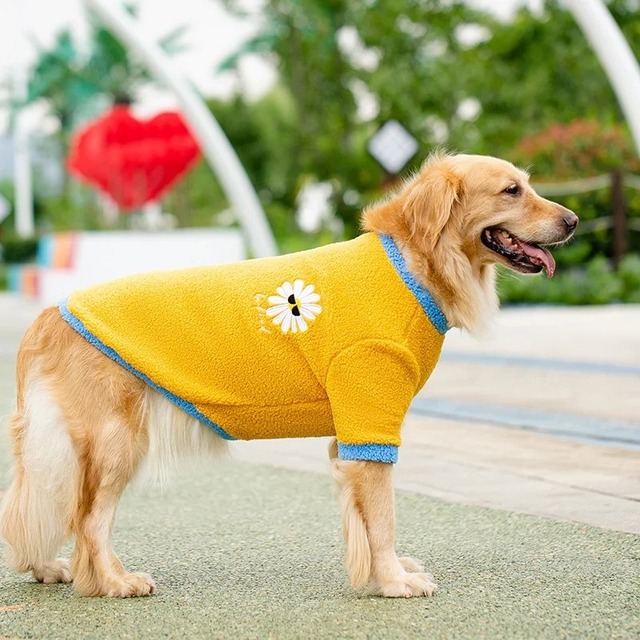 犬　服　韓国風　春服　可愛い　大型犬　中型犬　