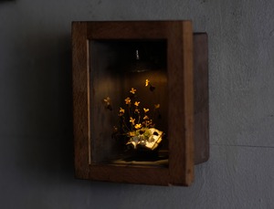 植物の古書