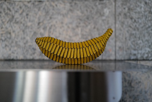 Jin Akihiro／Bananas