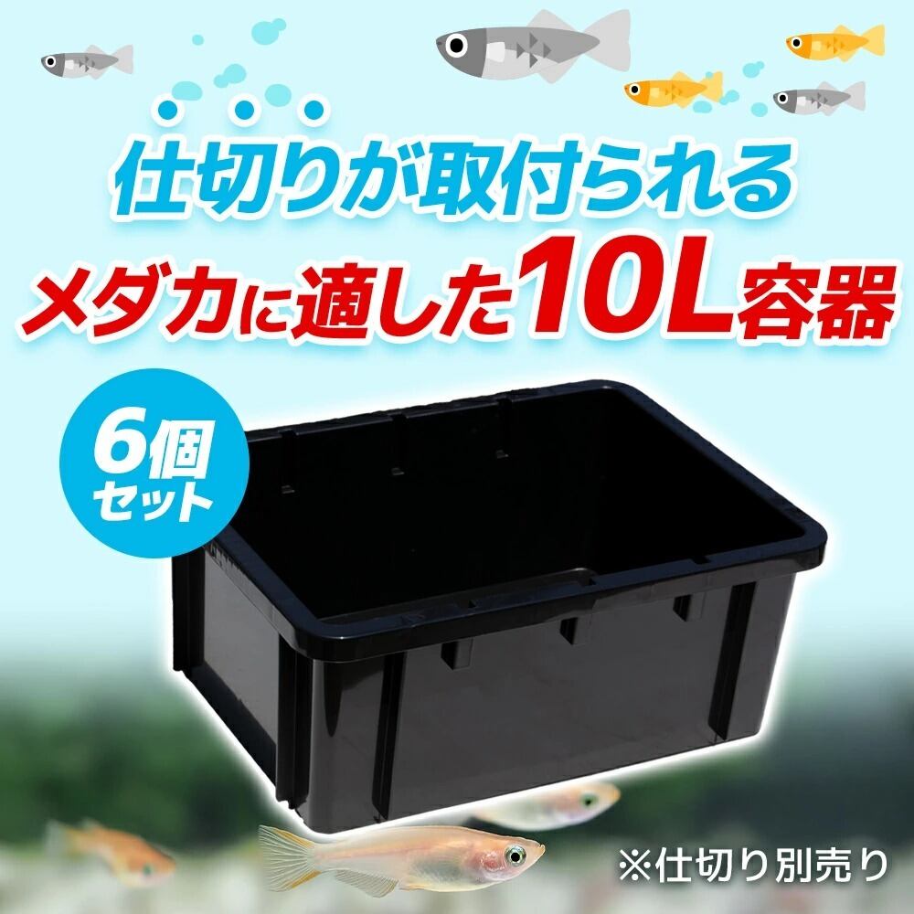 メダカ飼育容器 22L 3個 10L 3個 3L3個 仕切り(22L B3枚10L