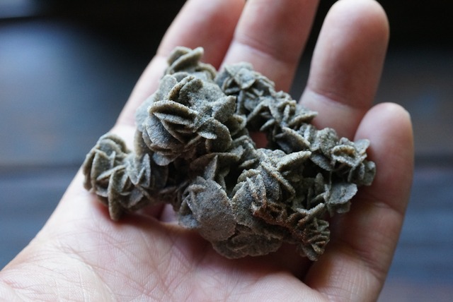 デザートローズ　Desert Rose　(B)