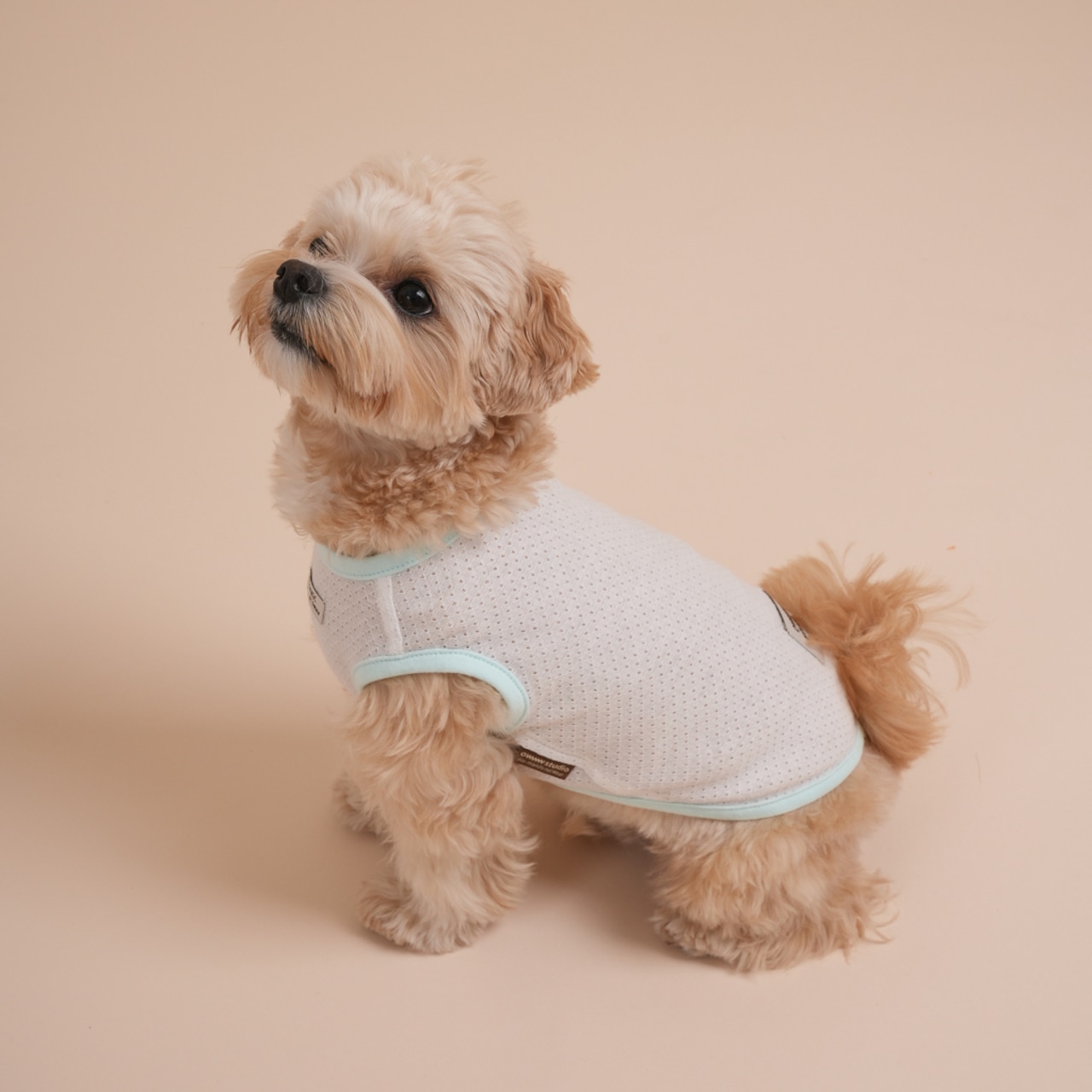 【予約】Organic Summer Simple Sleeveless Tee (mesh)｜Mint - 1