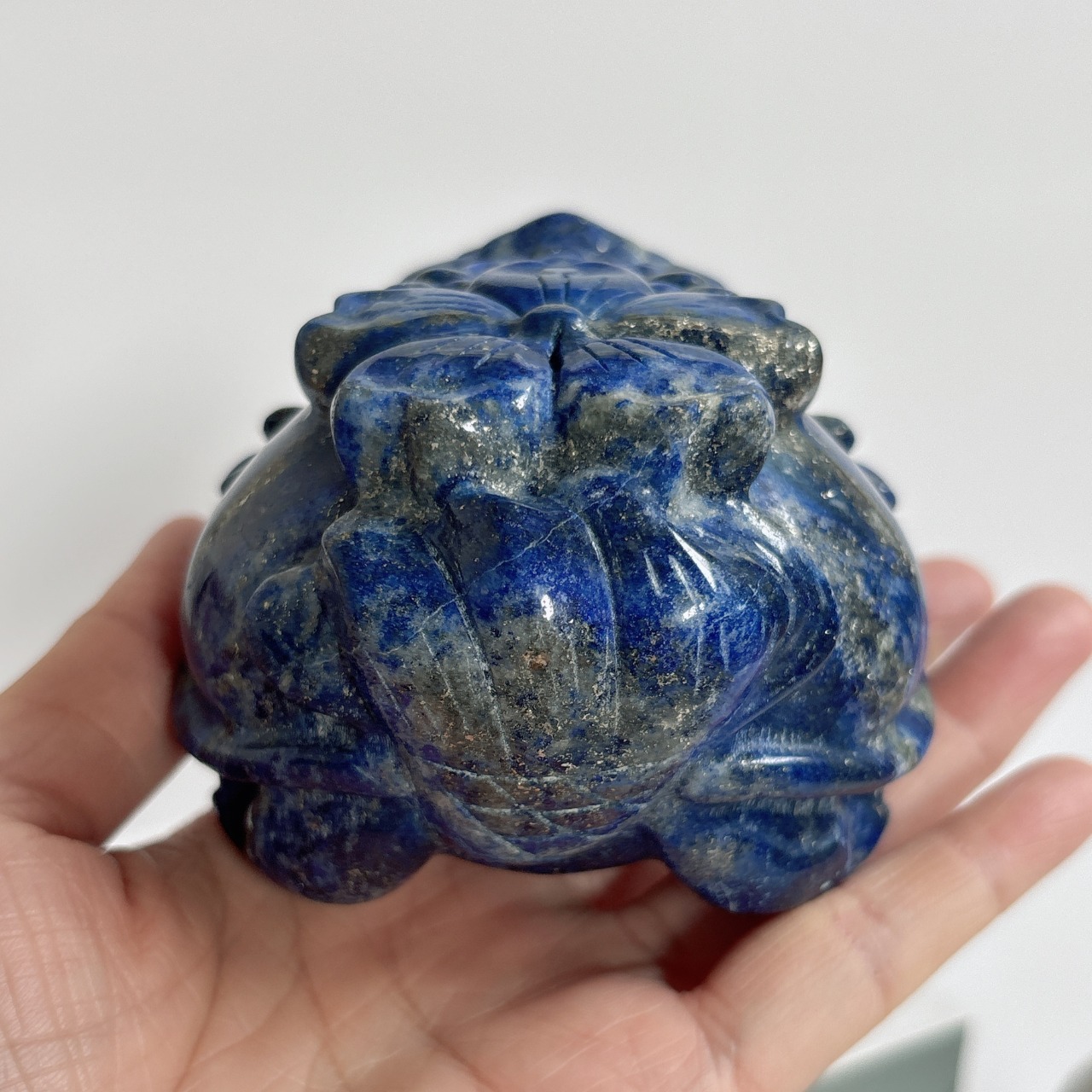 ラピスラズリ ロングイ(龍亀) BIG | エンネ ミネラルズ|インテリア