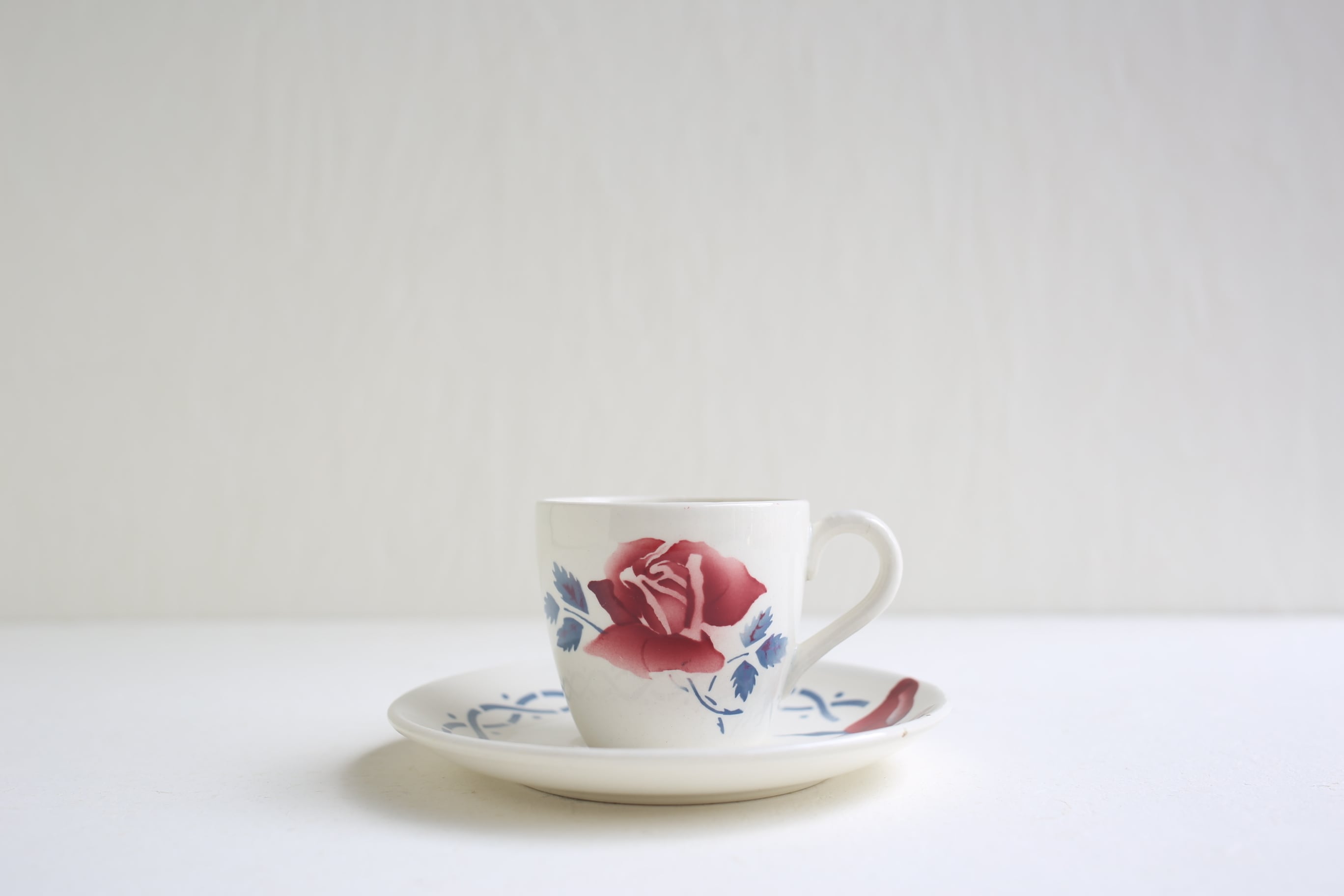 フランス アンティーク ヴィンテージ SARREGUEMINES サルグミンヌ 『JANINE』 カップ&ソーサーN-03911b