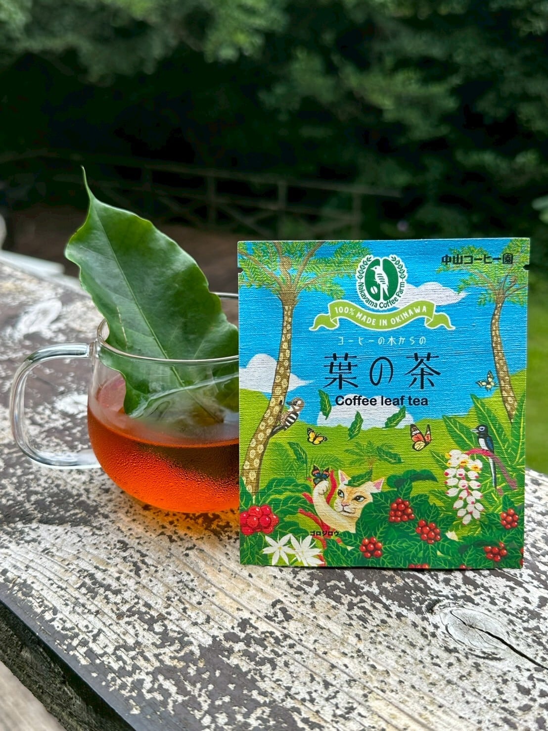 コーヒーの葉の茶 コーヒーリーフティー 1個入り×6個 | 中山コーヒー