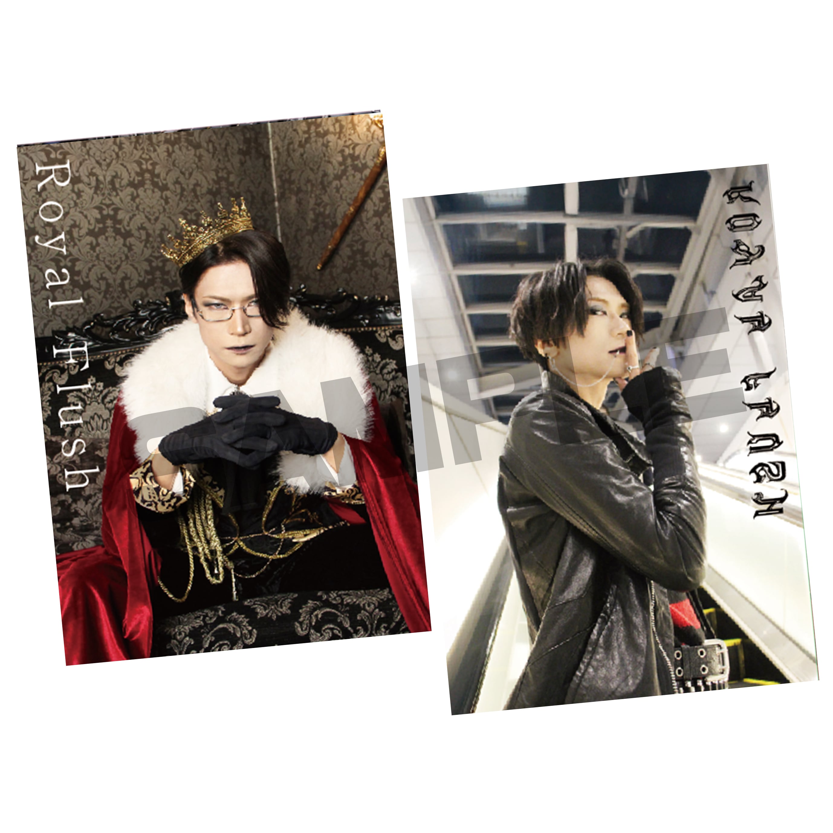 フォトブックA:Royal Flush【矢沢 もとはる生誕祭2025】 | ツヅキマシテ、