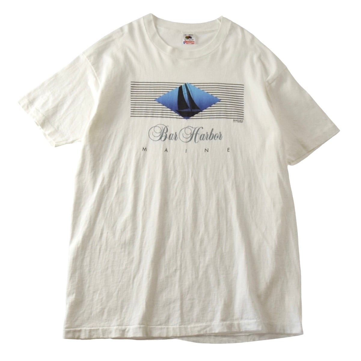 90s アートtシャツ 総柄 フルーツオブザルーム 湖の建物 ビッグシルエット