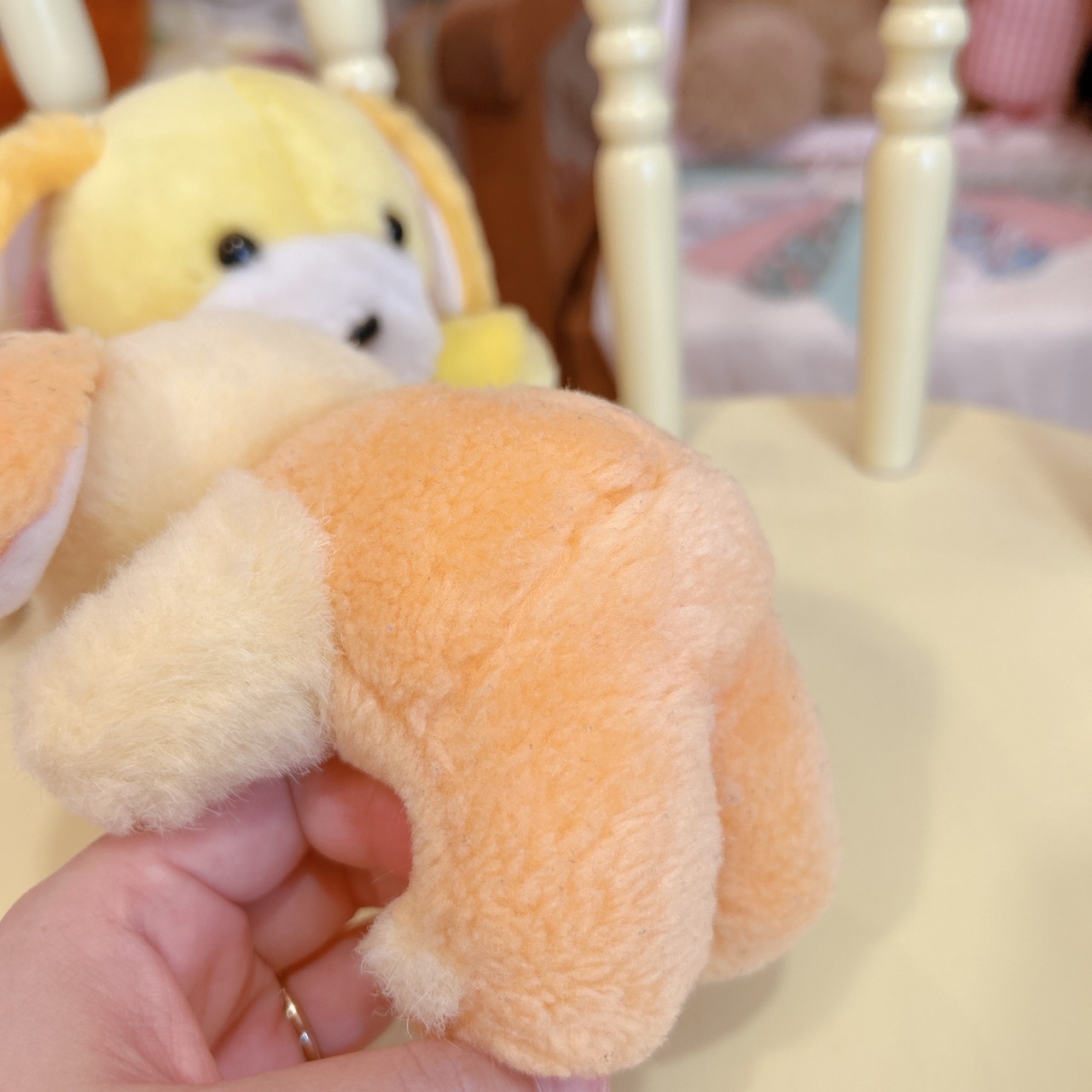 dogの画像12